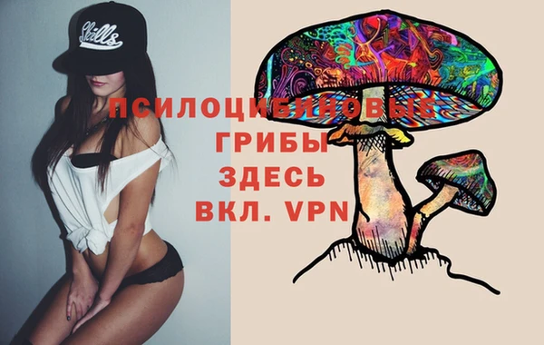 мдпв Абдулино