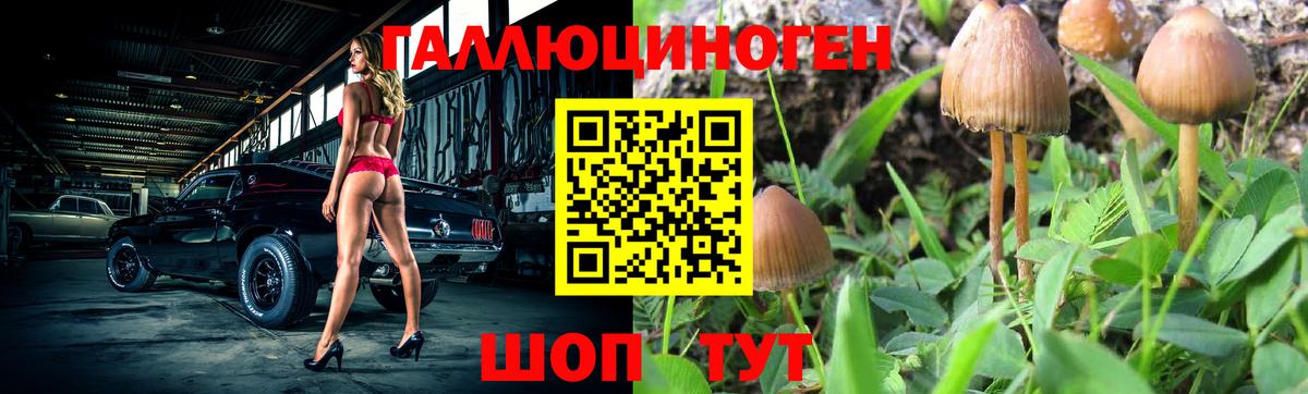 Галлюциногенные грибы мухоморы  Вход с VPN  Галлюциногенные грибы прущие грибы  Тюмень 